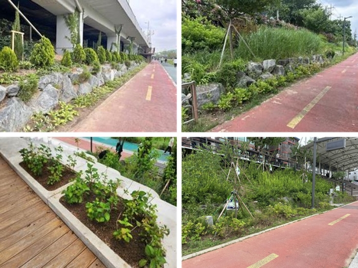 서대문구 불광천 녹지 경관 개선으로 더 푸르게 탈바꿈